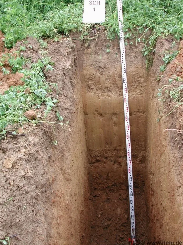 Illustrative image of Exploratory test pit in Baton Rouge