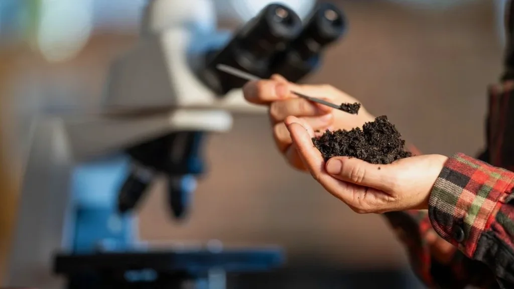 Illustrative image of Soil classification (USCS/AASHTO) in Baton Rouge