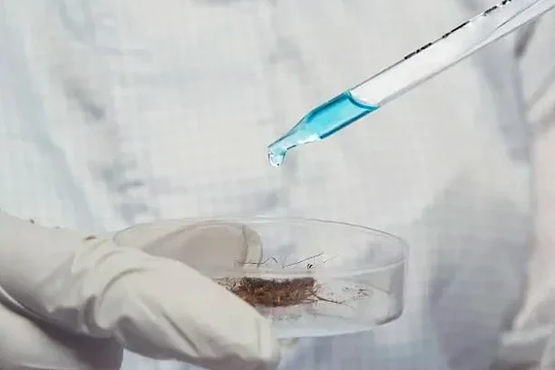 Illustrative image of Undisturbed sampling (Shelby tube) in Baton Rouge