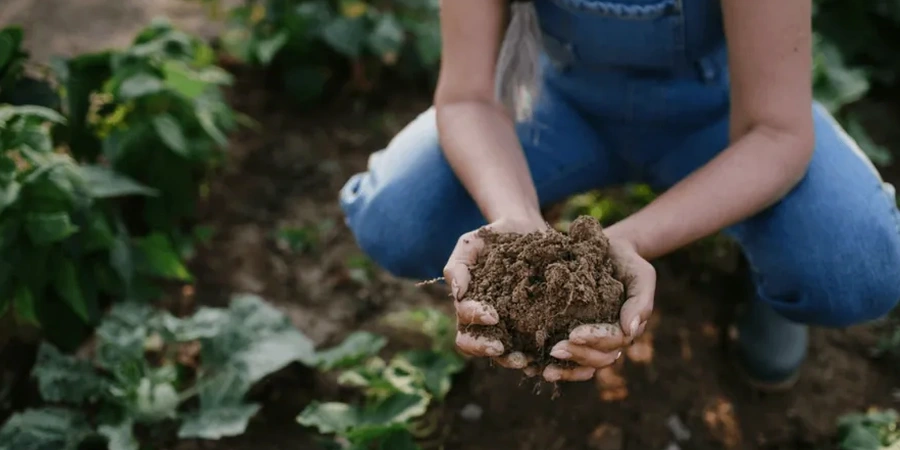 Illustrative image of Organic soil management in Baton Rouge