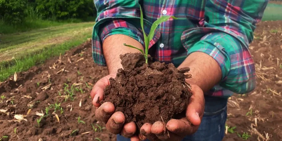Illustrative image of Residual soil characterization in Baton Rouge